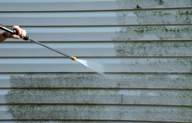 Mold Removal Process in Crafton, PA