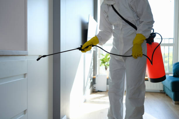 Best Residential Mold Removal  in Crafton, PA
