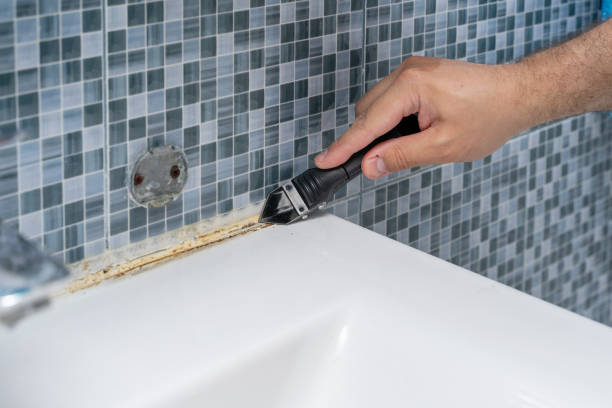 Best Best Mold Removal Companies  in Crafton, PA